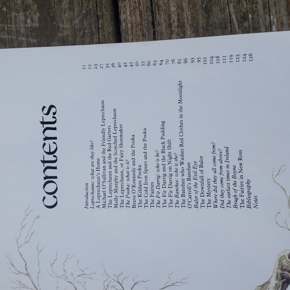 Leprechauns Legends and Irish Tales Book - Picture 3 of 6